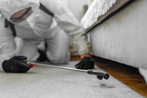 Professional Termite Control technician working in Riverside County County, CA